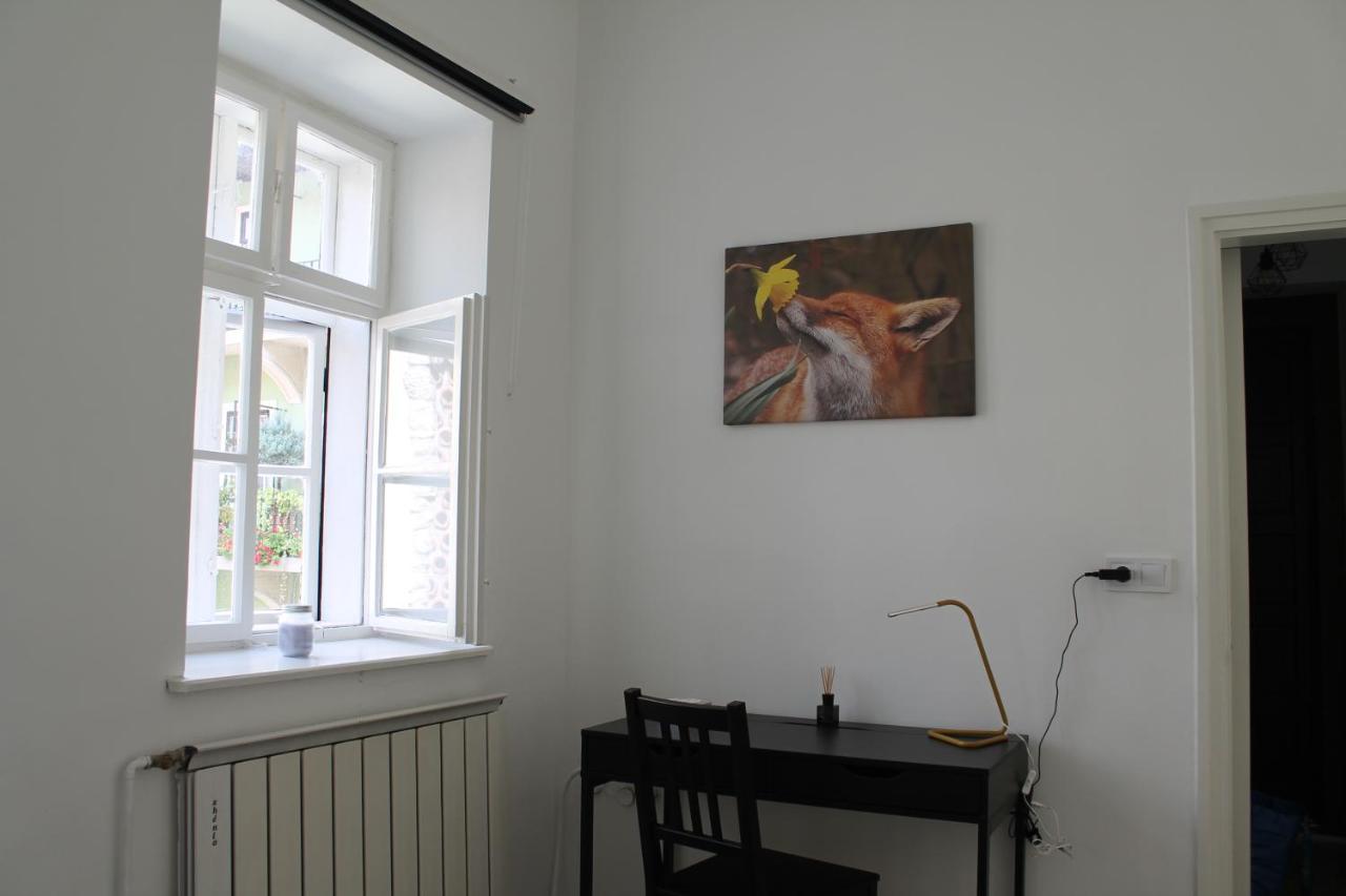 Zwinger Apartman Sopron Buitenkant foto