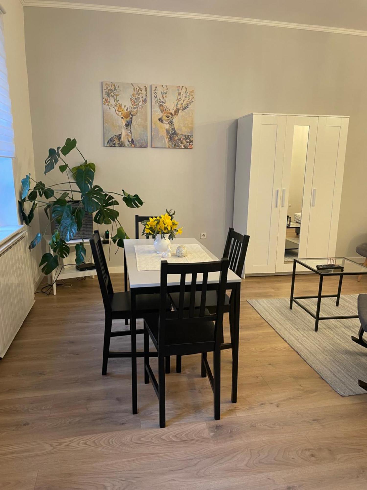 Zwinger Apartman Sopron Buitenkant foto